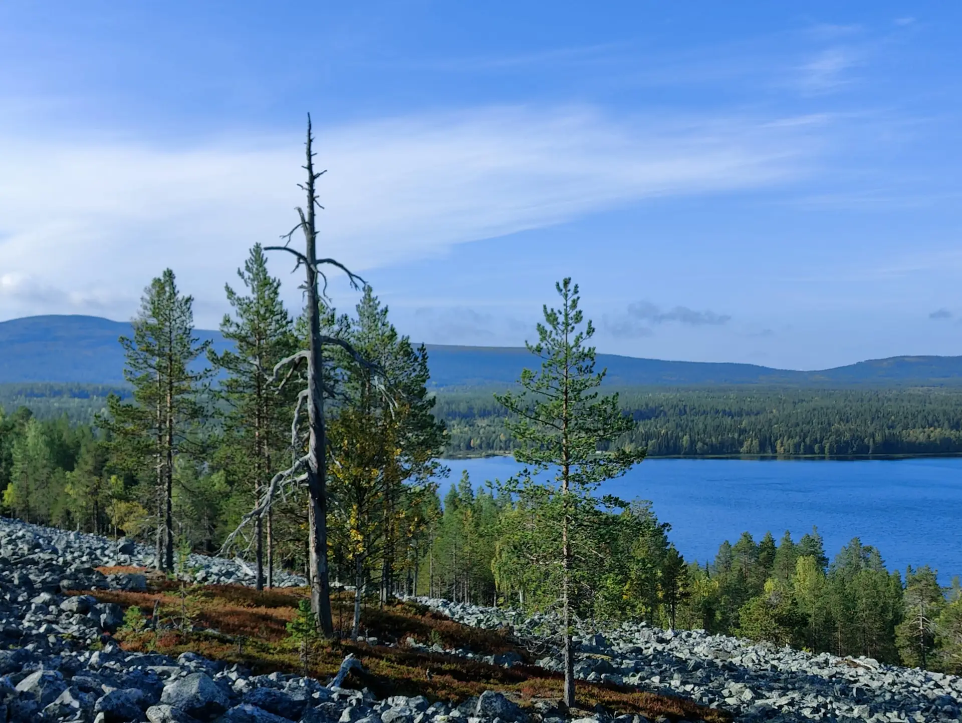 IMG-20230909-WA0001